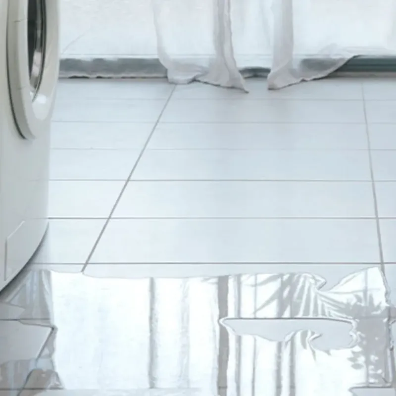 Appliance Leak Cleanup in Escondido, CA