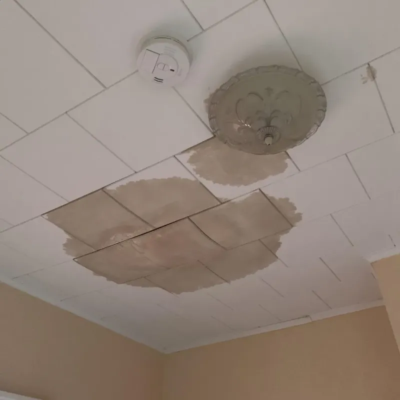 Ceiling Water Damage Repair in Escondido, CA